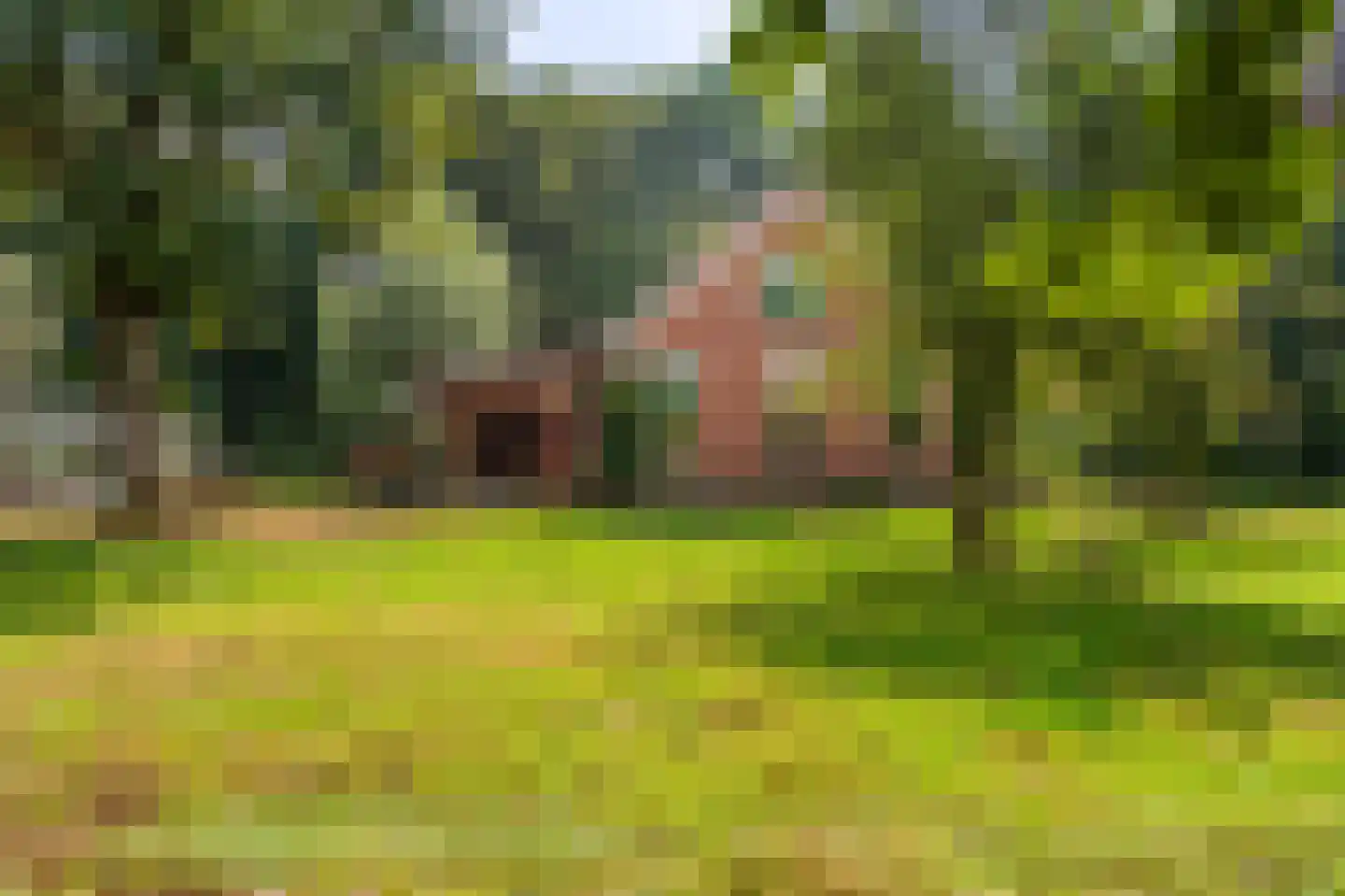 Oudelaan 5 Bellingwolde thumbnail 18
