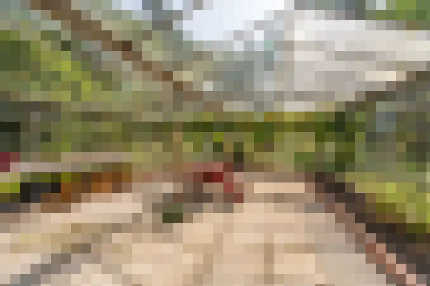 Oudelaan 5 Bellingwolde thumbnail 22