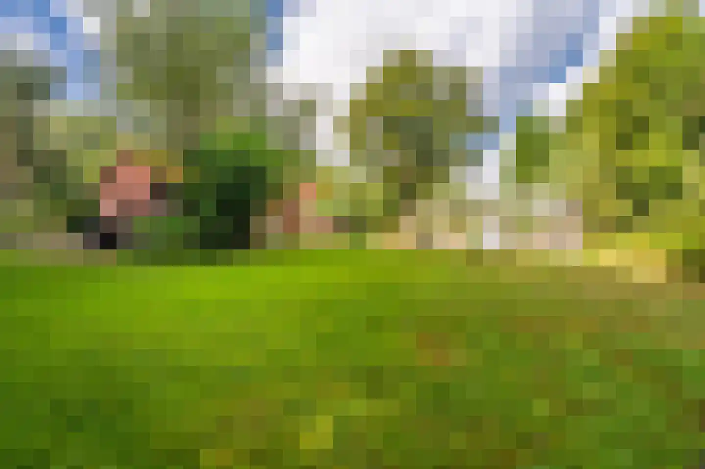 Oudelaan 5 Bellingwolde thumbnail 25