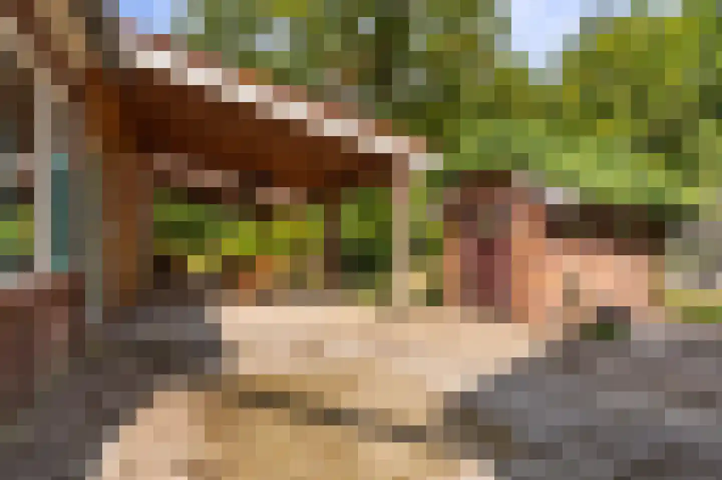 Oudelaan 5 Bellingwolde thumbnail 28