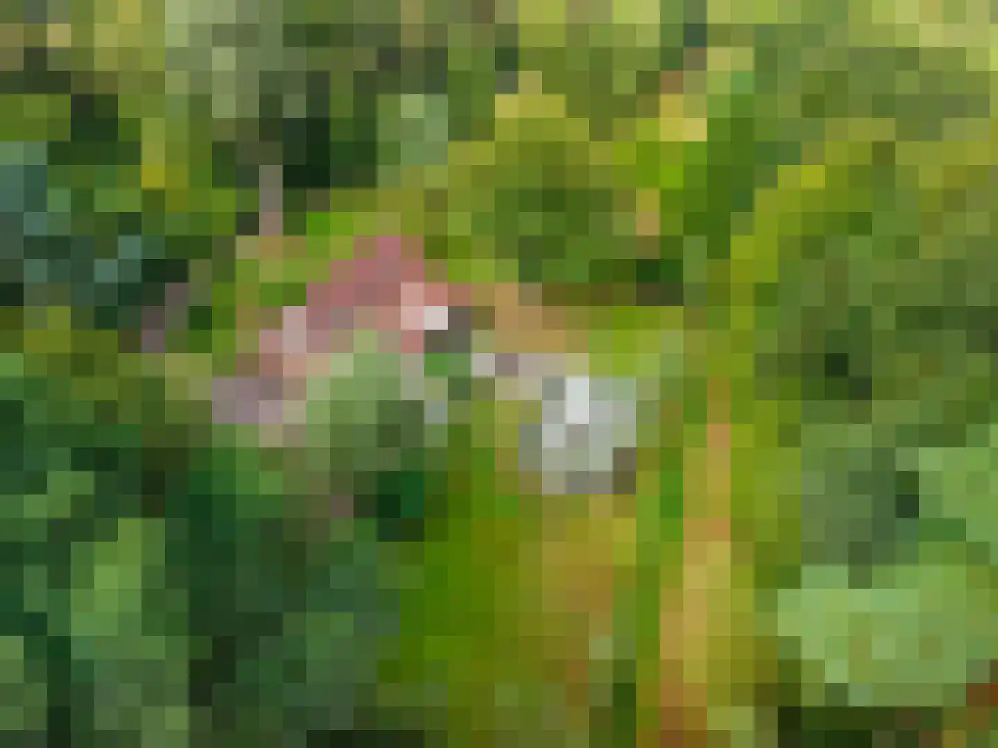 Oudelaan 5 Bellingwolde thumbnail 4