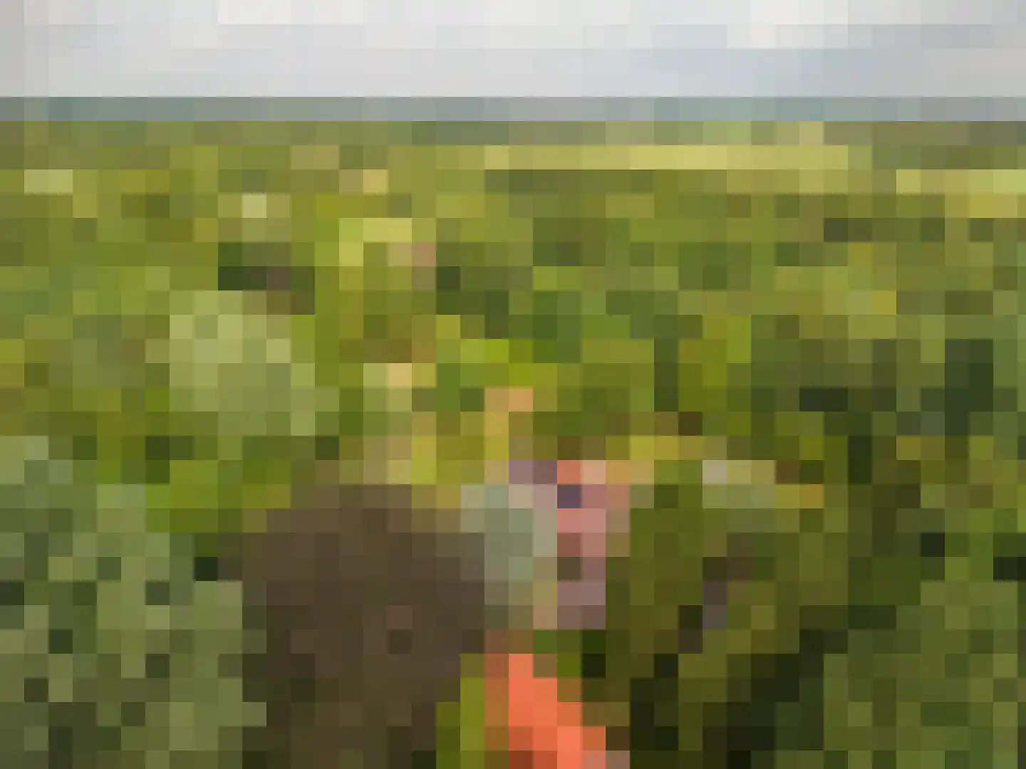 Oudelaan 5 Bellingwolde thumbnail 6