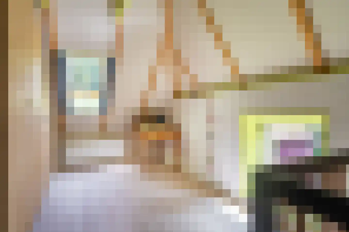 Oudelaan 5 Bellingwolde thumbnail 68