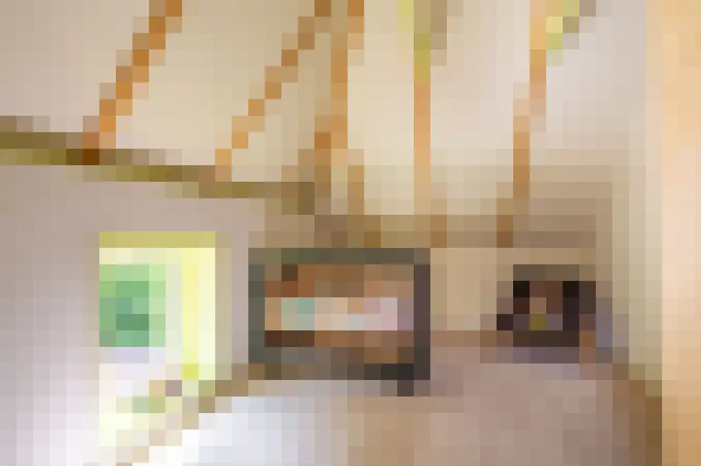 Oudelaan 5 Bellingwolde thumbnail 69