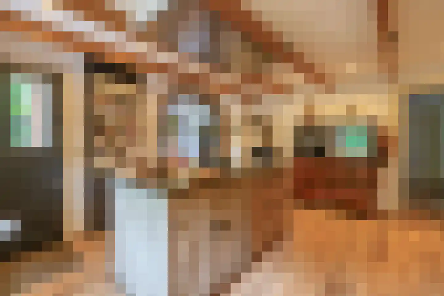 Oudelaan 77 Bellingwolde thumbnail 19