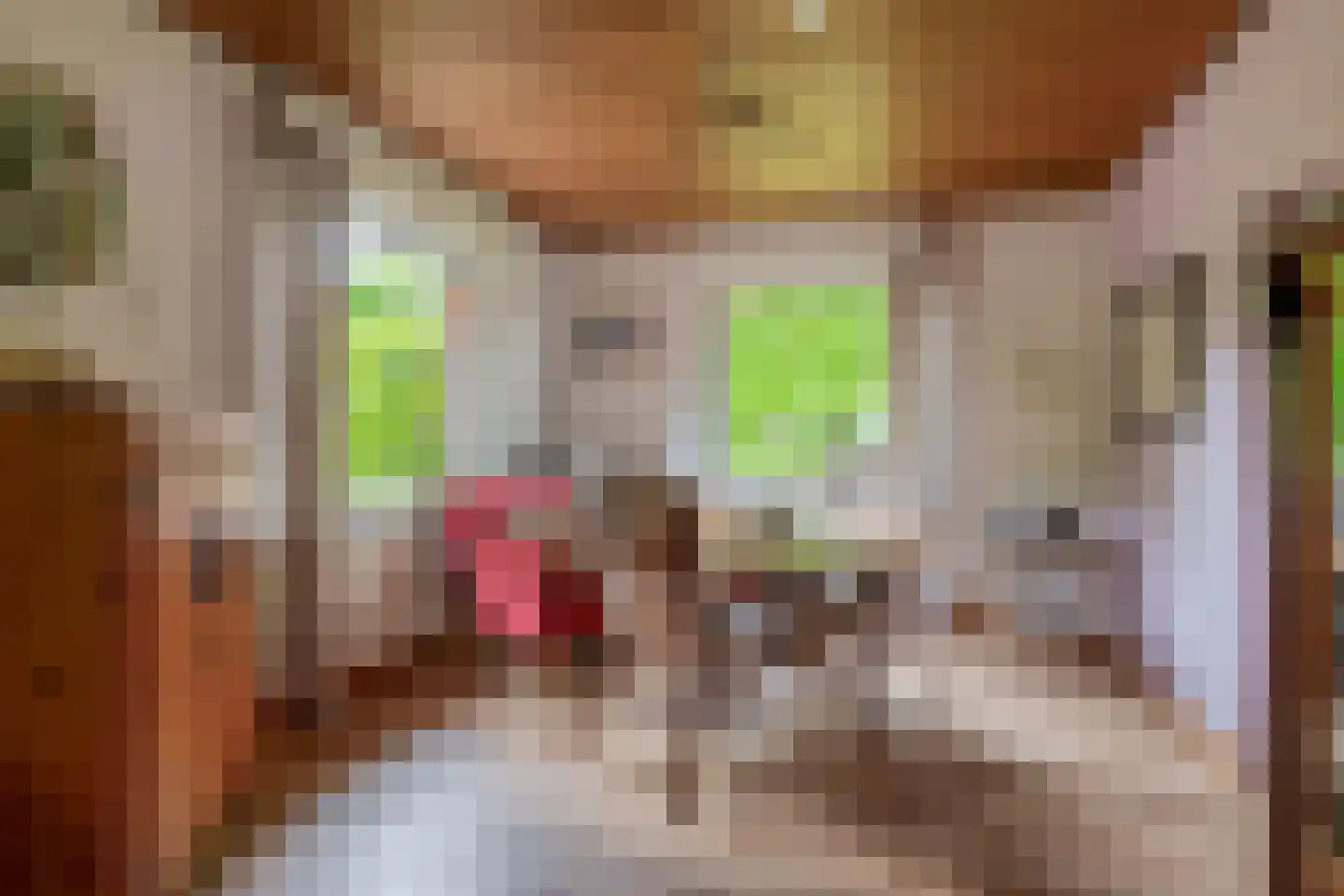 Oudelaan 77 Bellingwolde thumbnail 23