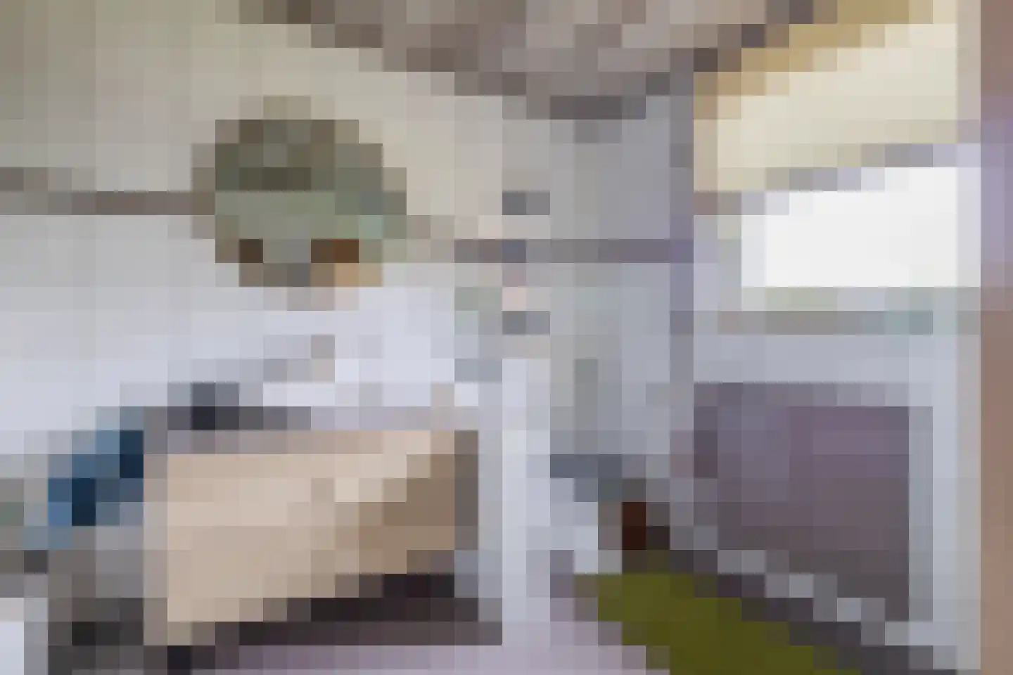 Oudelaan 77 Bellingwolde thumbnail 28