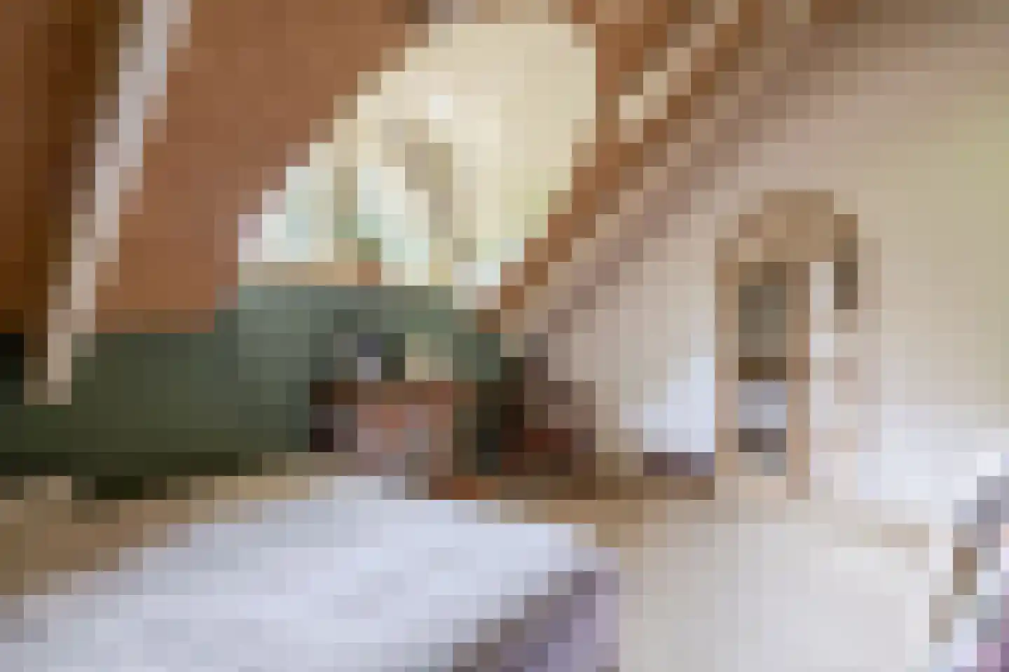 Oudelaan 77 Bellingwolde thumbnail 39