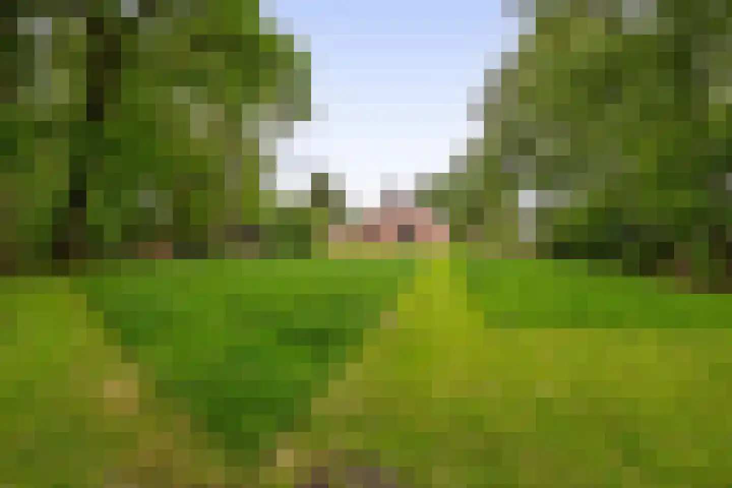 Oudelaan 77 Bellingwolde thumbnail 51