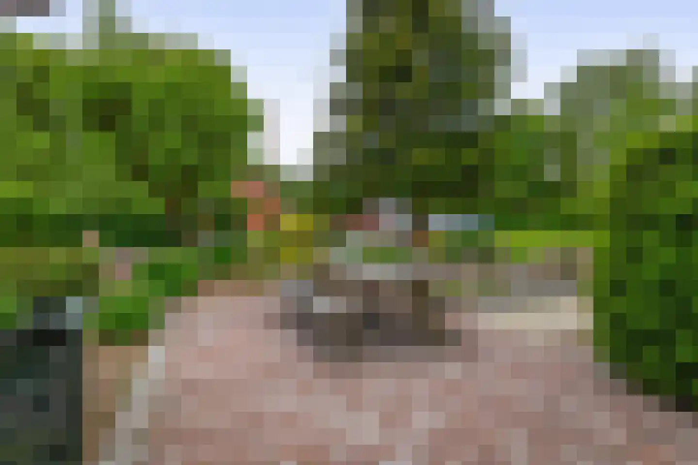 Oudelaan 77 Bellingwolde thumbnail 58