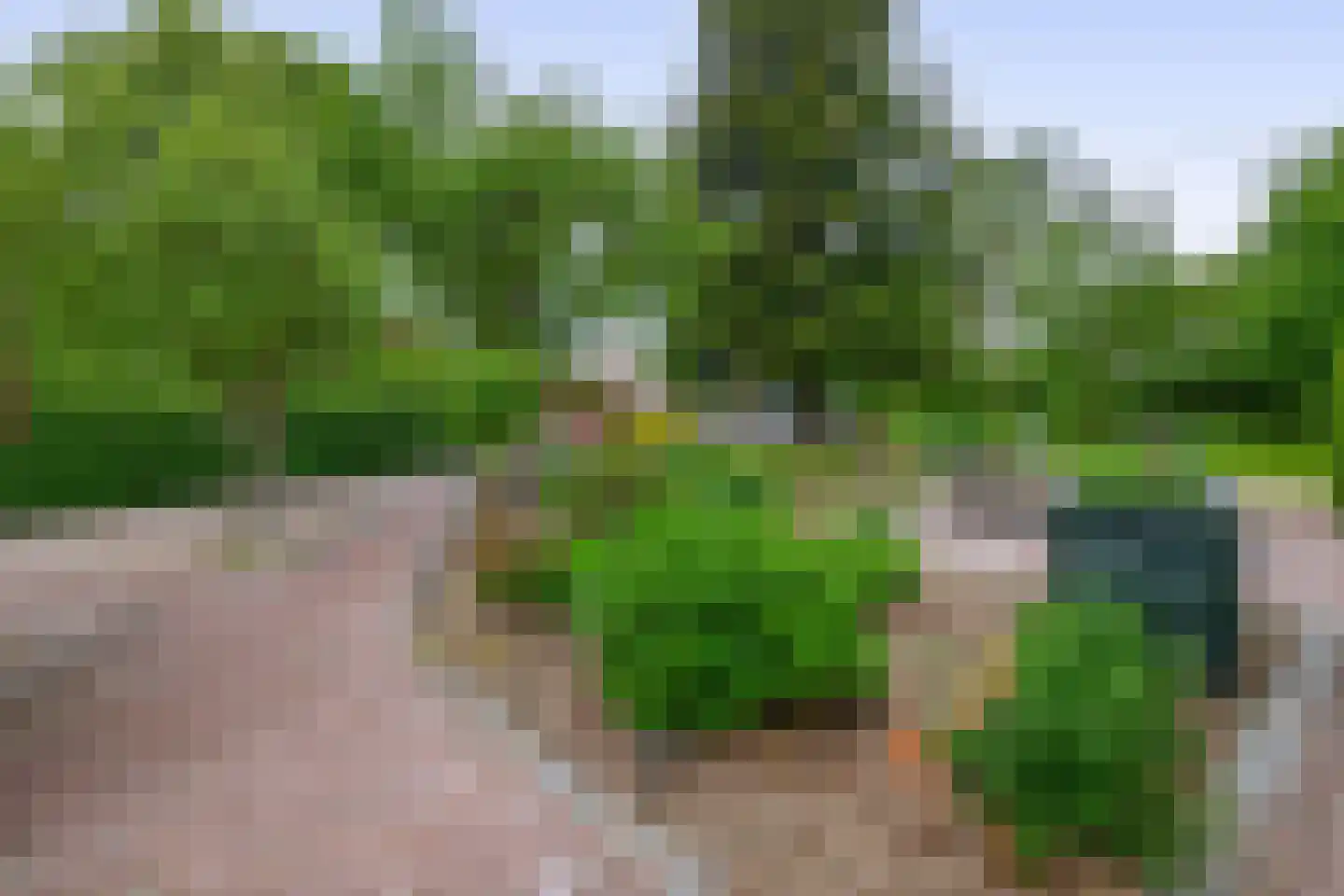 Oudelaan 77 Bellingwolde thumbnail 59