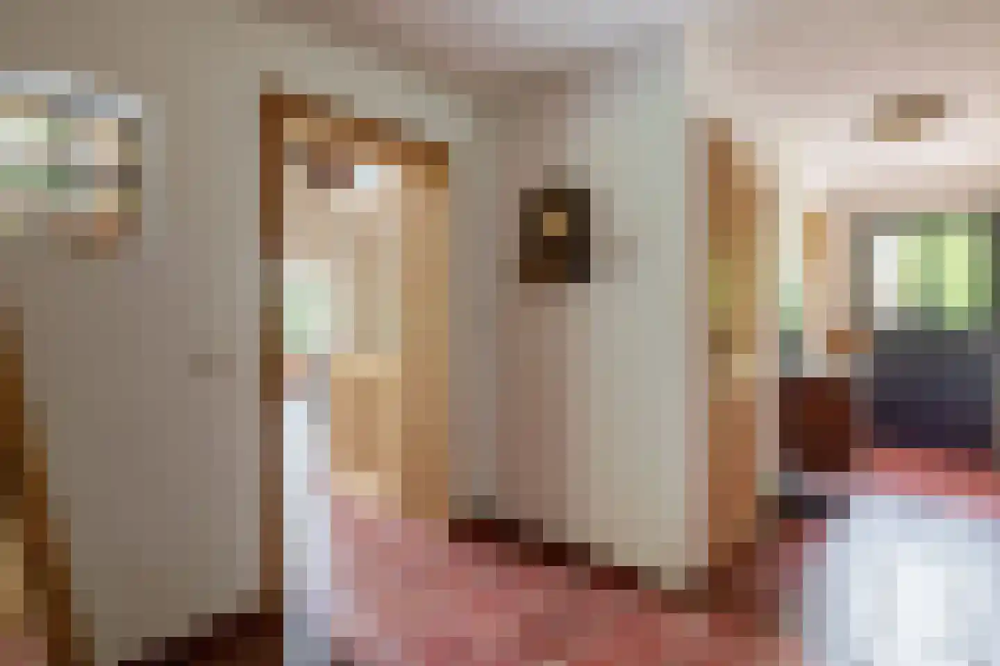 Oudelaan 77 Bellingwolde thumbnail 6