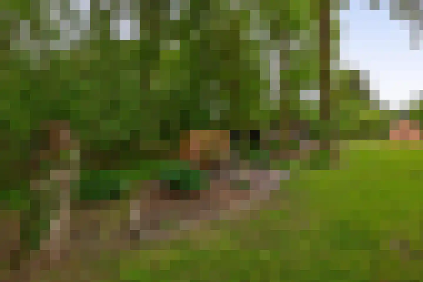 Oudelaan 77 Bellingwolde thumbnail 68