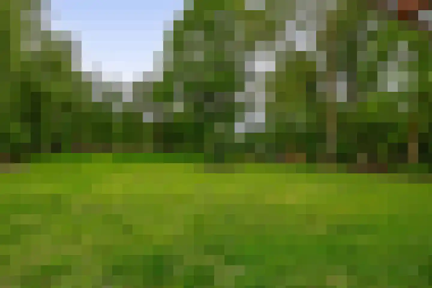 Oudelaan 77 Bellingwolde thumbnail 69