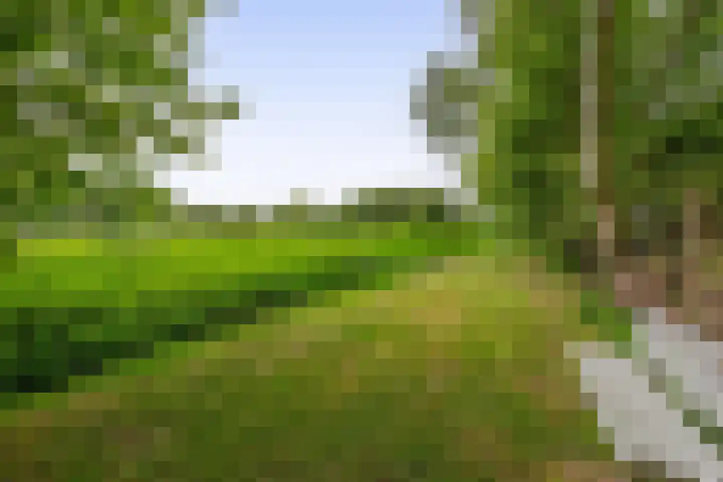 Oudelaan 77 Bellingwolde thumbnail 71