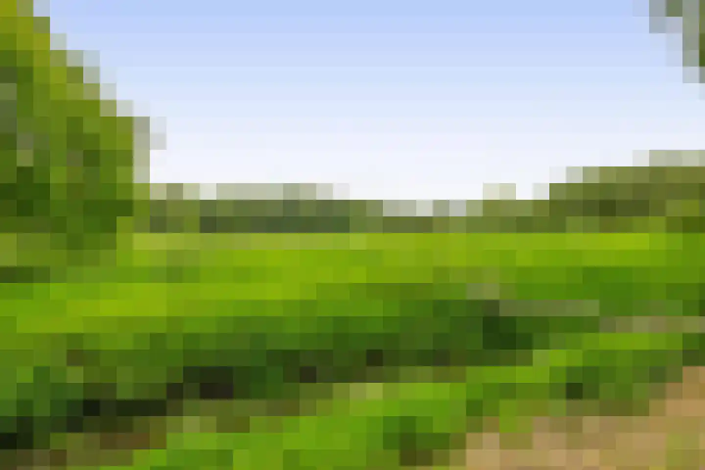 Oudelaan 77 Bellingwolde thumbnail 72