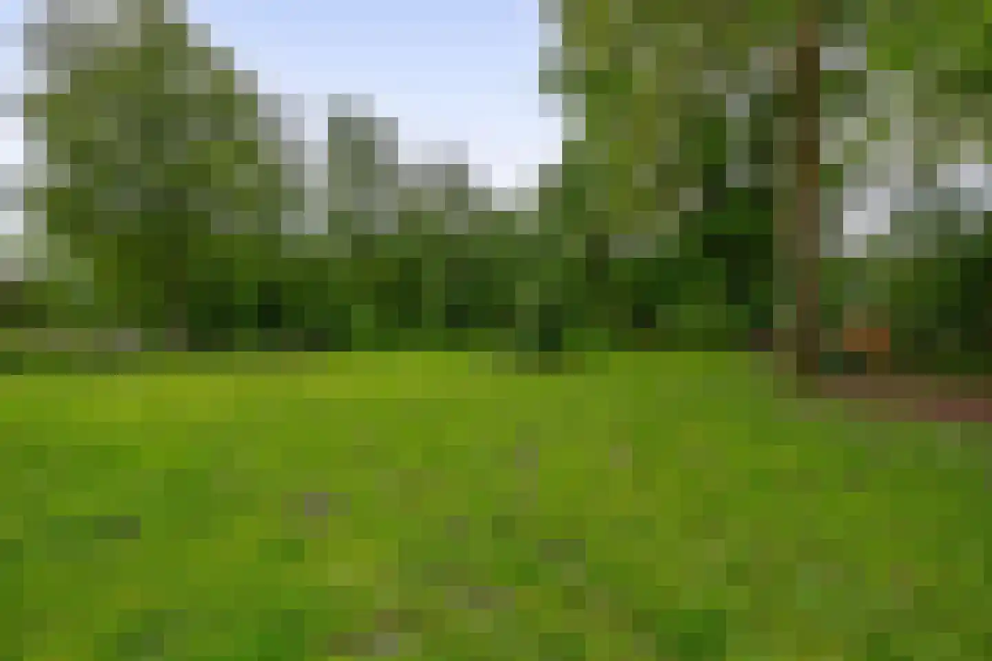 Oudelaan 77 Bellingwolde thumbnail 75