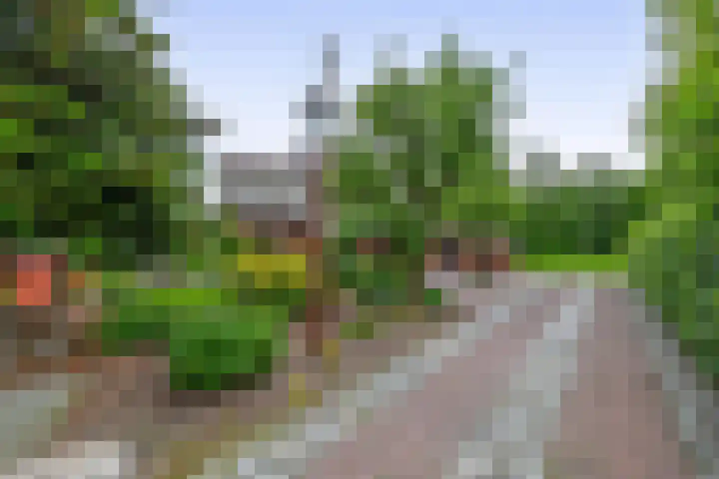 Oudelaan 77 Bellingwolde thumbnail 77