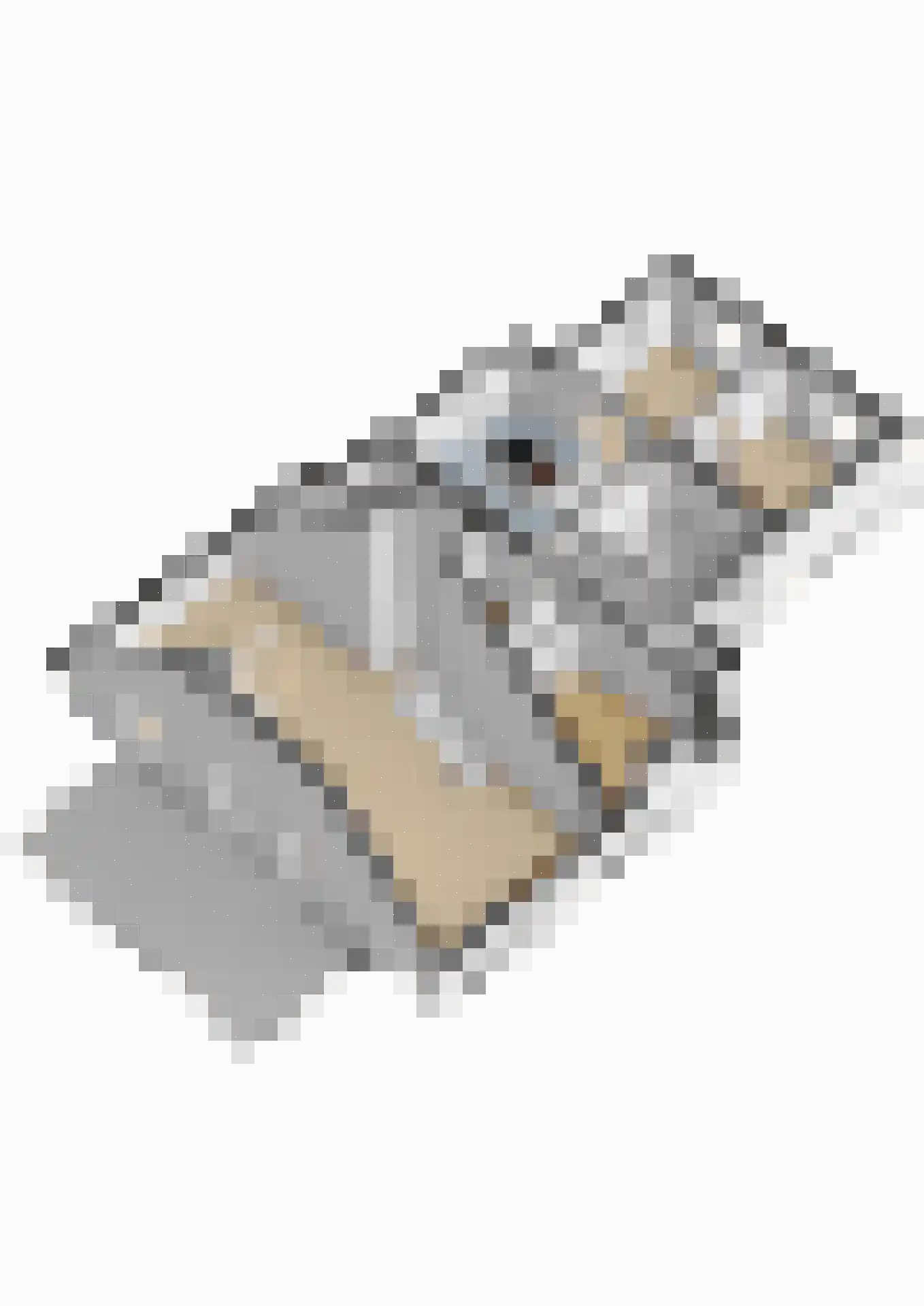 Oudelaan 77 Bellingwolde thumbnail 81