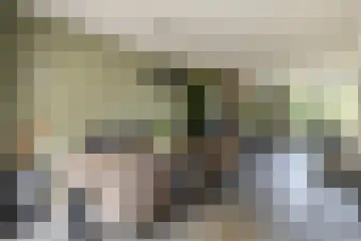 Oudelaarstraat 2 Balkbrug thumbnail 12