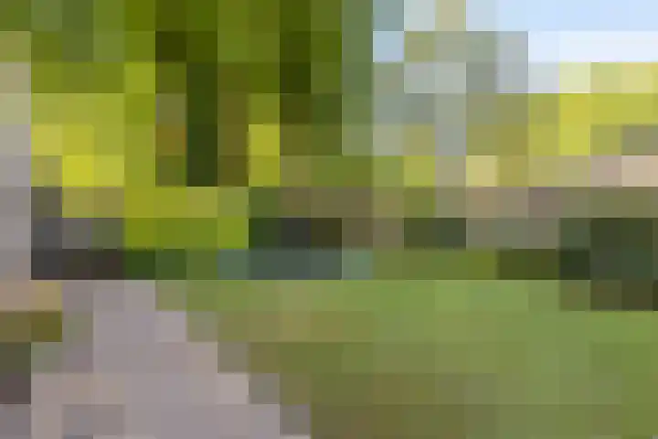 Oudelaarstraat 2 Balkbrug thumbnail 37