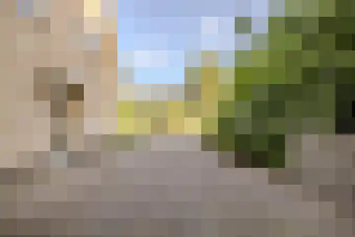 Oudelaarstraat 2 Balkbrug thumbnail 4