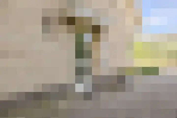 Oudelaarstraat 2 Balkbrug thumbnail 5