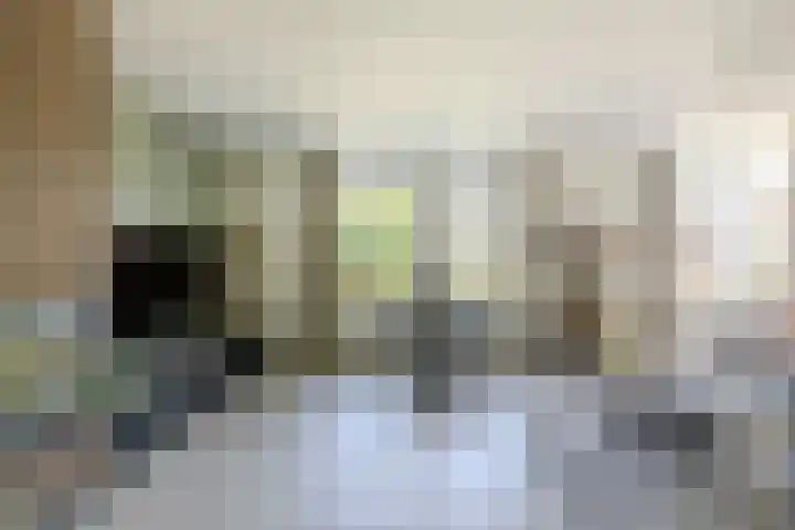 Oudelaarstraat 2 Balkbrug thumbnail 7