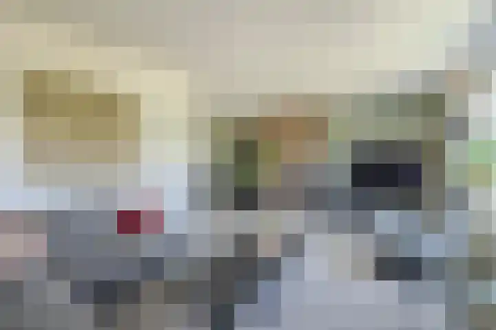 Oudelaarstraat 2 Balkbrug thumbnail 9