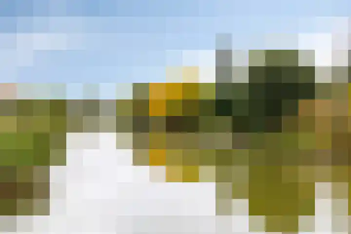 Oudeland 11 Zwijndrecht thumbnail 33