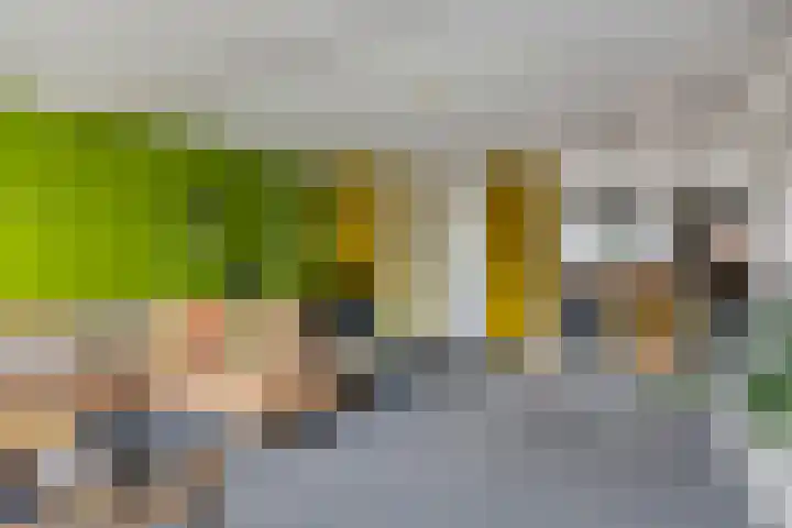 Oudeland 11 Zwijndrecht thumbnail 6
