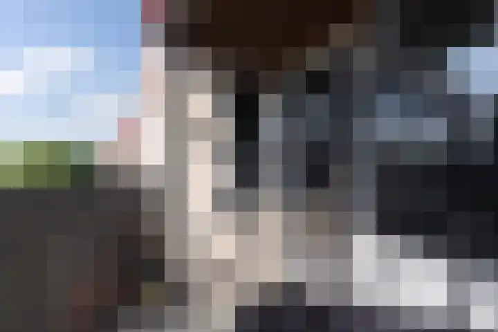 Oudeland 190 Zwijndrecht thumbnail 25