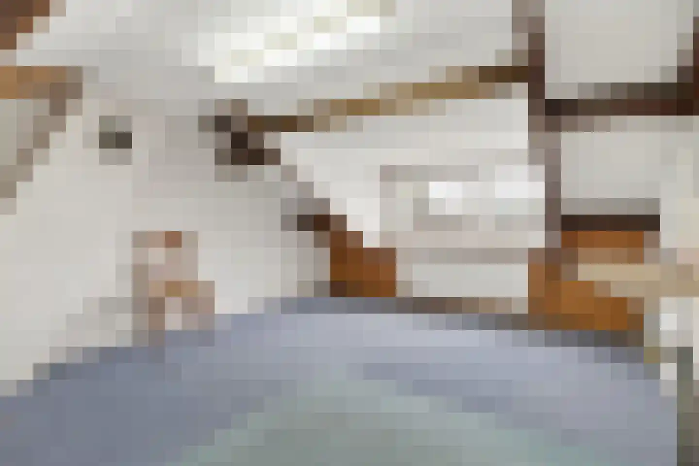 Oudeland 25 Harmelen thumbnail 39