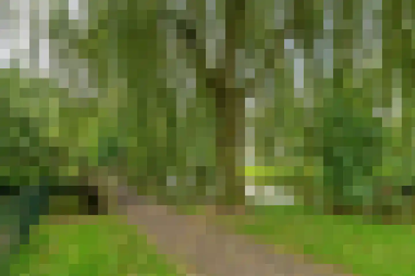 Oudeland 25 Harmelen thumbnail 55