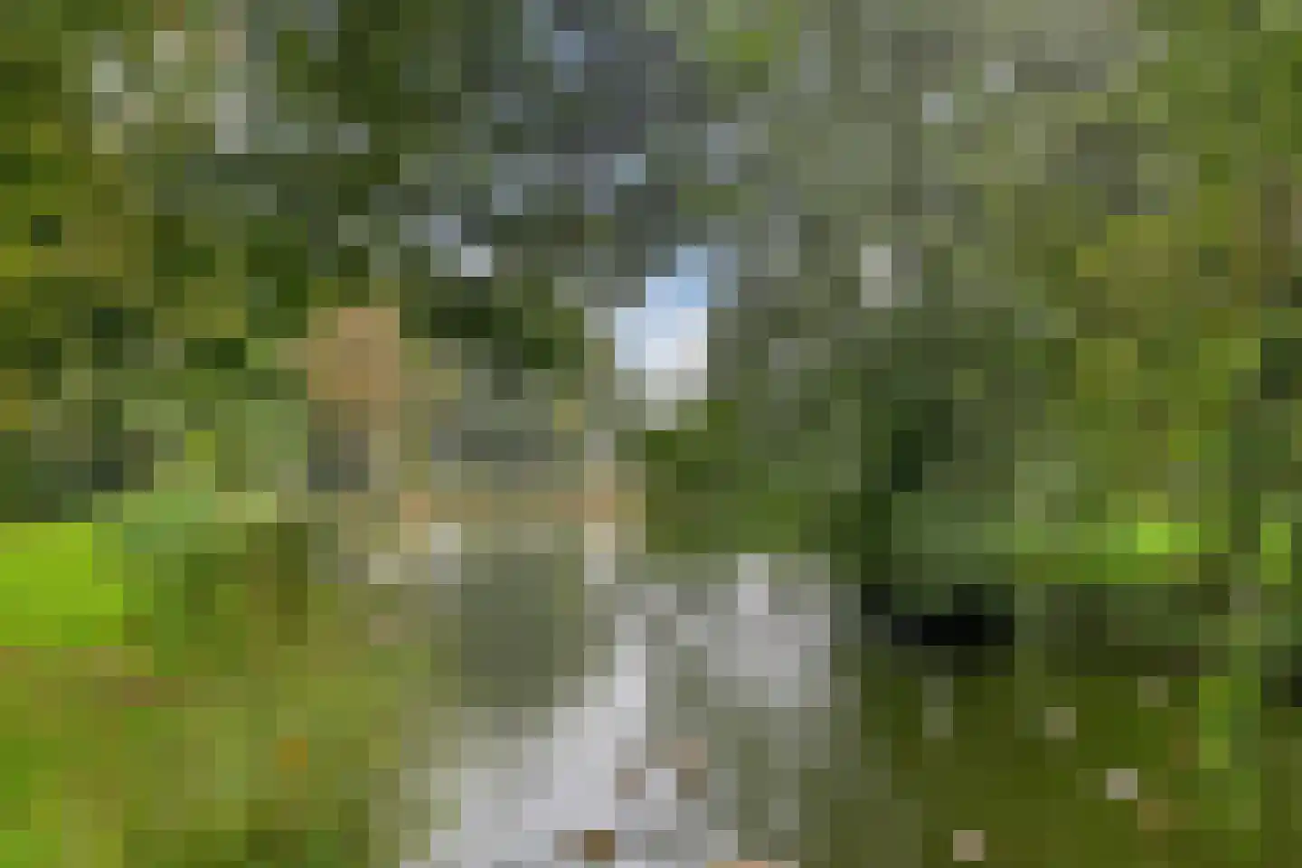 Oudeland 25 Harmelen thumbnail 57