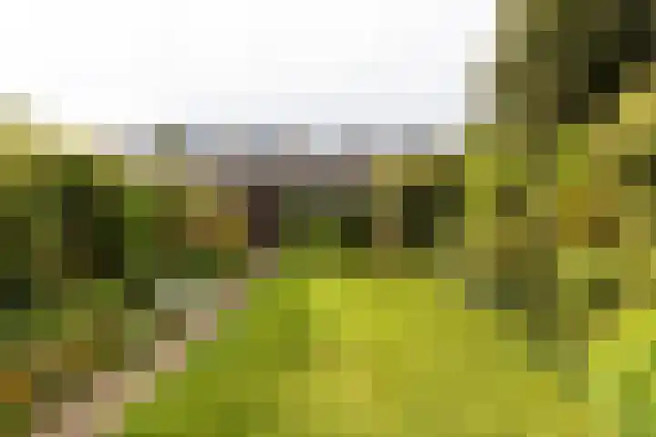 Oudeland 29 Harmelen thumbnail 16
