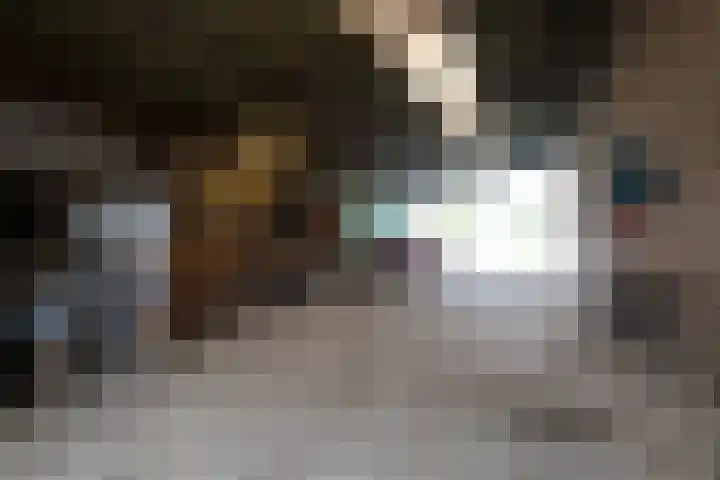 Oudeland 29 Harmelen thumbnail 18