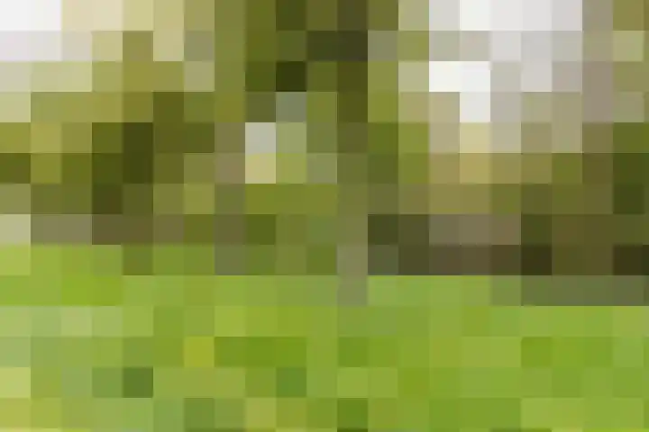 Oudeland 29 Harmelen thumbnail 20