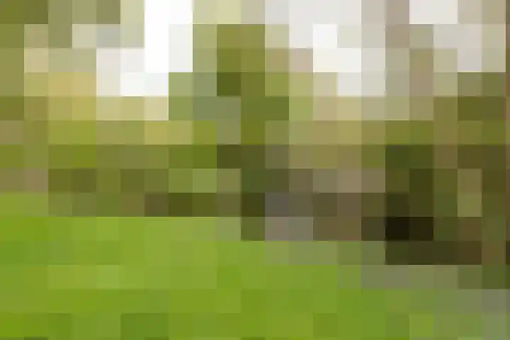 Oudeland 29 Harmelen thumbnail 21