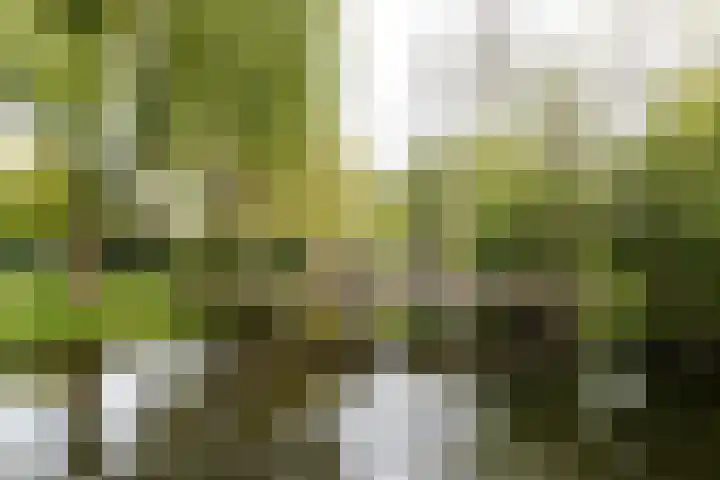 Oudeland 29 Harmelen thumbnail 22