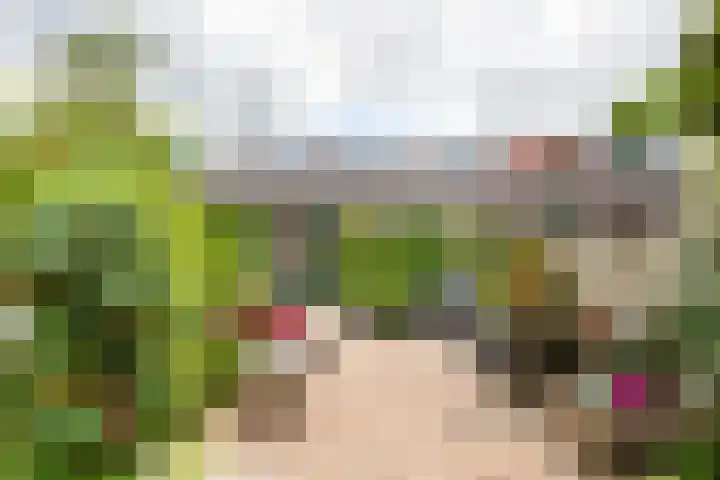 Oudeland 33 Harmelen thumbnail 23