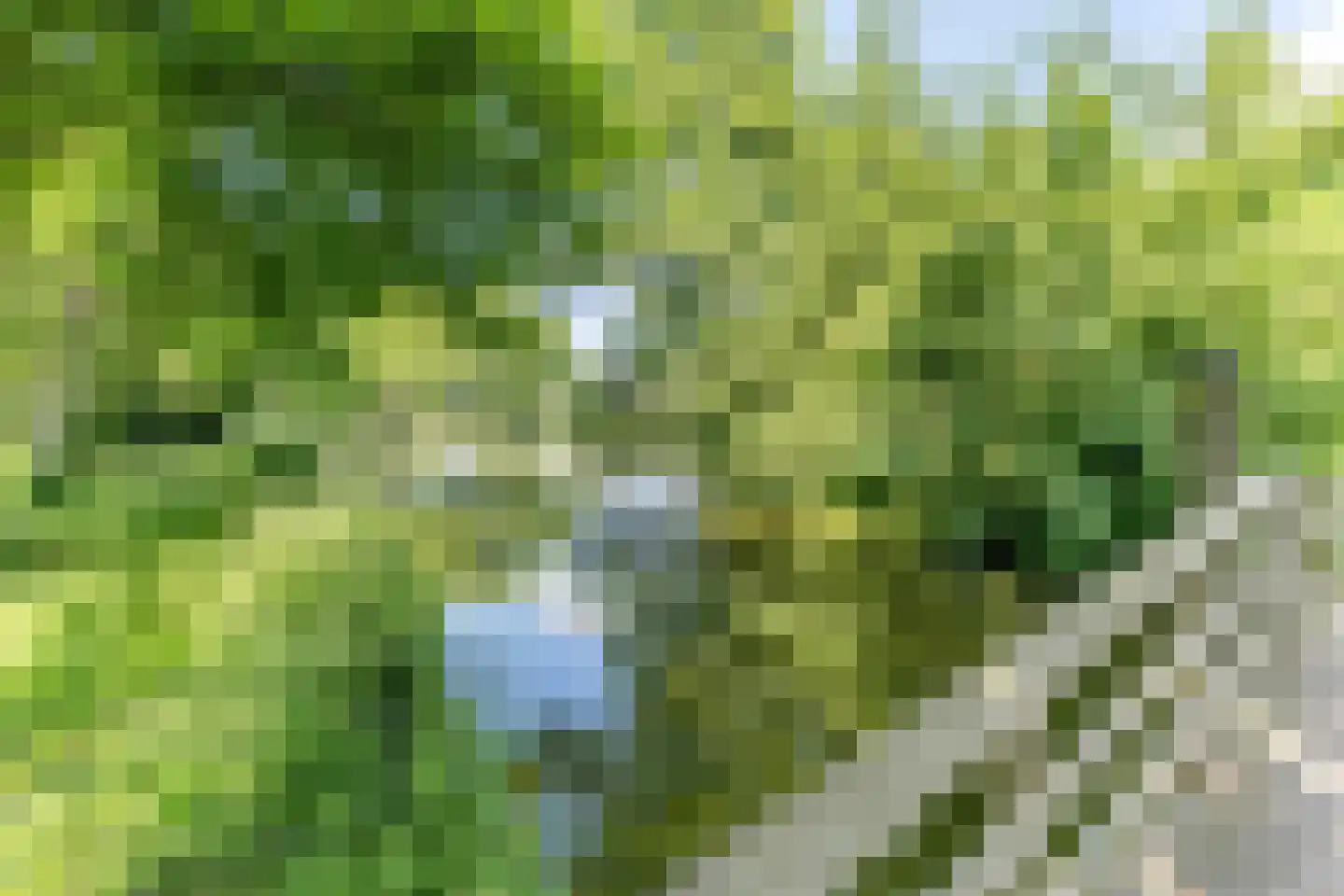 Oudeland 57 Harmelen thumbnail 54