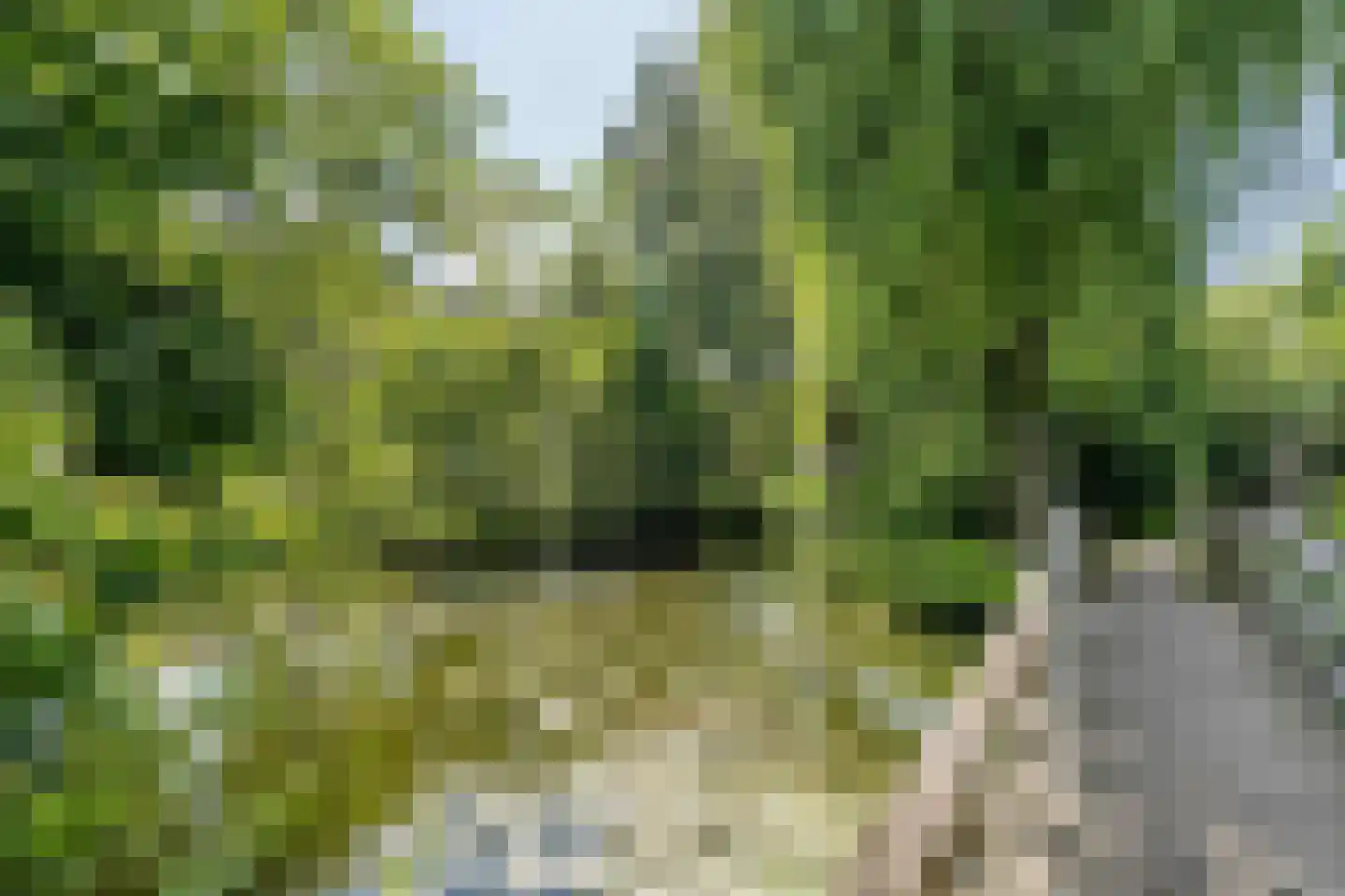 Oudeland 57 Harmelen thumbnail 55