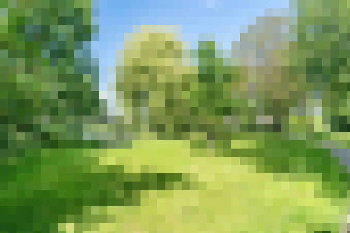 Oudeland 57 Harmelen thumbnail 56
