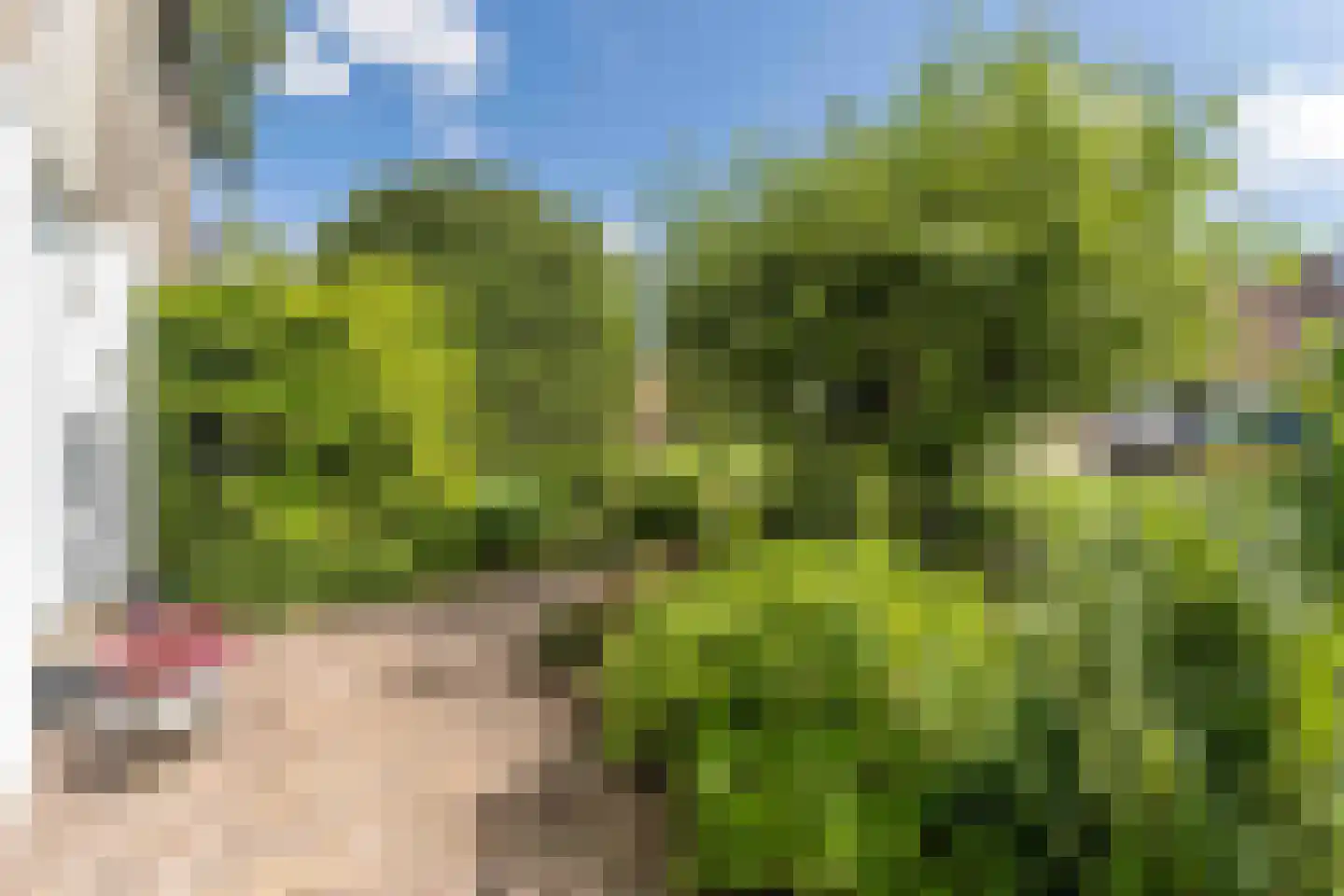 Oudeland 57 Harmelen thumbnail 8