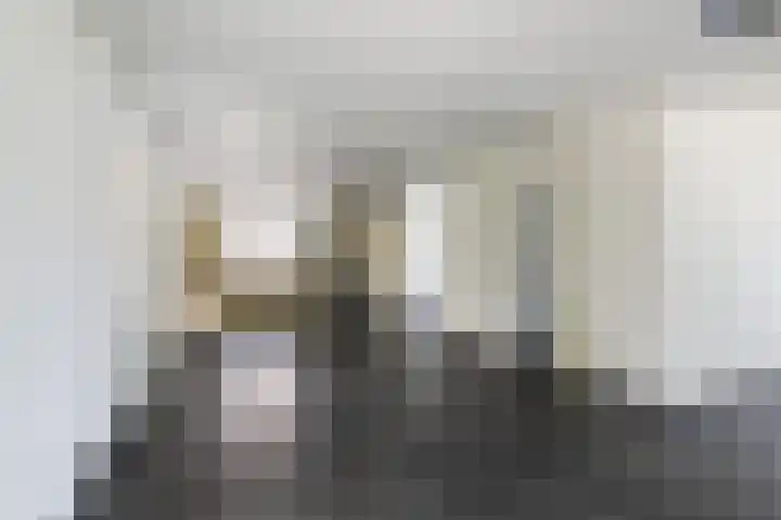 Oudeland 6 Tholen thumbnail 13