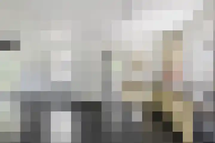 Oudeland 6 Tholen thumbnail 17