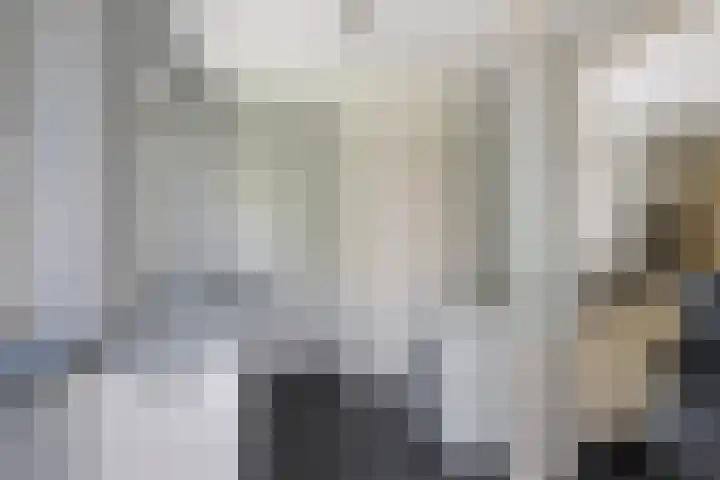 Oudeland 6 Tholen thumbnail 18