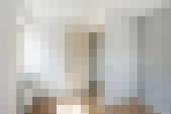 Oudeland 6 Tholen thumbnail 26