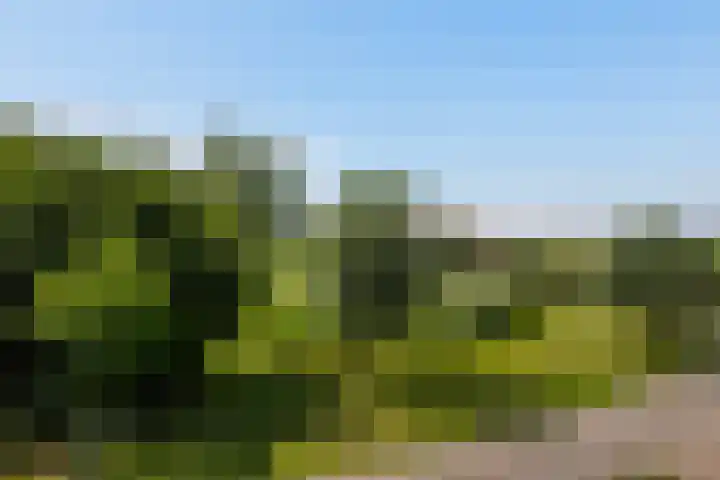 Oudeland 6 Tholen thumbnail 28